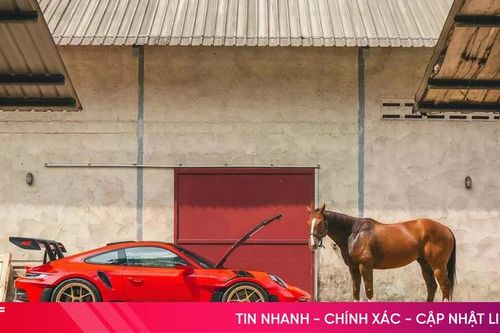 Loạt xe lấy cảm hứng từ hình tượng ngựa