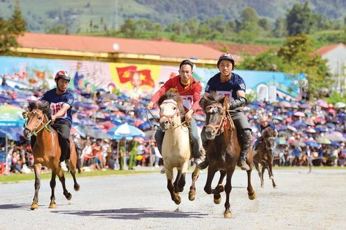 Vó ngựa trên mây Bắc Hà