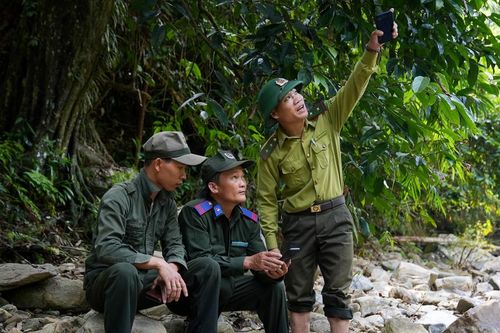 Ngày xuân theo chân người giữ rừng