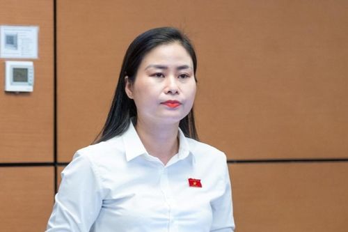 Phát huy trí tuệ và bản lĩnh trong kỷ nguyên vươn mình