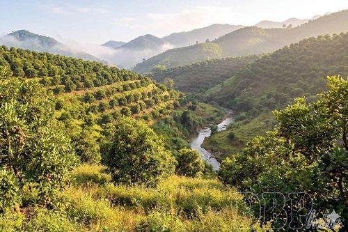 Khát vọng vươn xa
