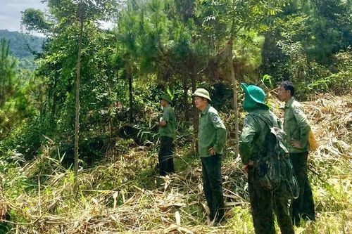 Giữ rừng xuyên Tết: Khi mùa xuân ở lại giữa đại ngàn
