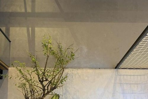 Sao Việt đón Tết Bính Ngọ 2026: Cường Đô La đo chiều cao, Đỗ Mỹ Linh bị chồng giục về