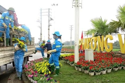 Những người làm đẹp phố, phường
