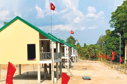 'Mệnh lệnh từ trái tim'