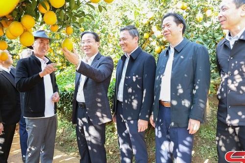 Phát triển nông nghiệp bền vững, ứng dụng công nghệ cao