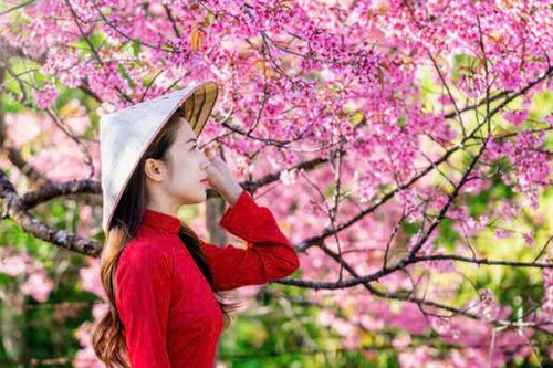 Mùa xuân – Mùa của yêu thương