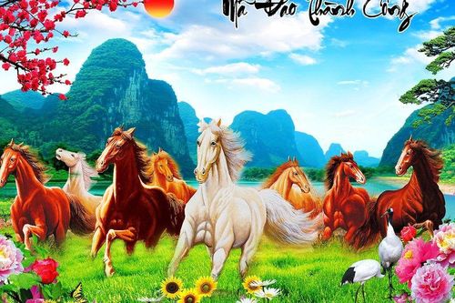 Đầu năm Ngọ nói chuyện về Ngựa