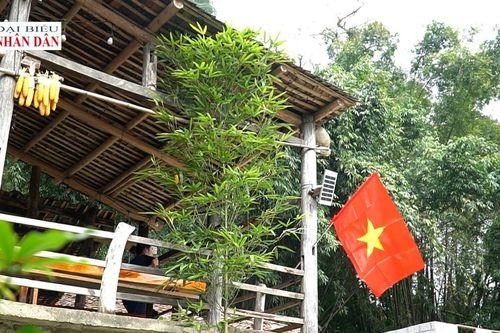 Bản đá vào xuân