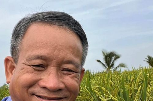 'Phù thủy' lúa gạo xứ Lai Vung