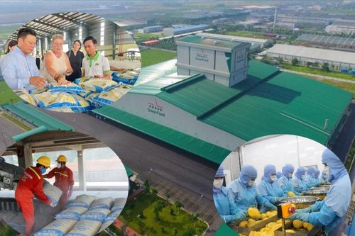 Doanh nghiệp địa phương bứt tốc từ 'sân nhà'
