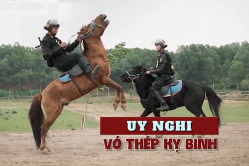 Uy nghi vó thép kỵ binh | Phim tài liệu | 17/02/2026
