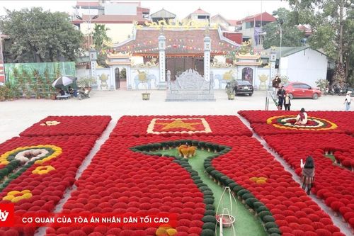 Làng hương rực rỡ dịp Tết