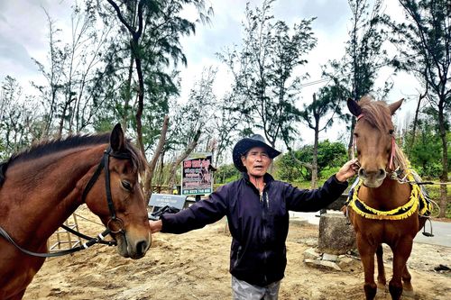 Người giữ 'Tết vó ngựa' gần nửa thế kỷ ở Gò Thì Thùng tại Đắk Lắk
