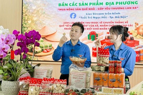 Những người trẻ Thủ đô 'mở chợ online' đưa nông sản quê nhà lên sóng