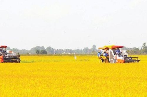 Khởi nguồn từ những 'hạt giống niềm tin'
