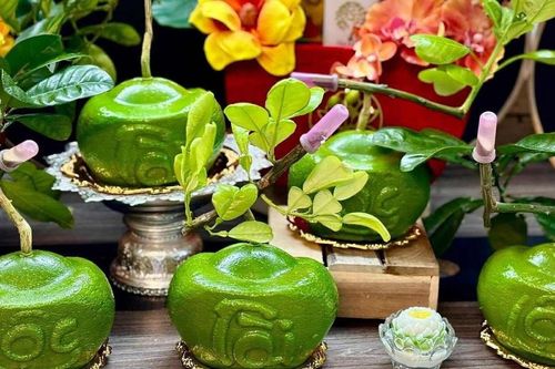 Những loại trái cây nào được người tiêu dùng ưa chuộng dịp đầu năm 2026?