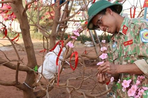 Bác sĩ Việt Nam tại Phái bộ Liên Hợp Quốc giữ trọn hương Xuân