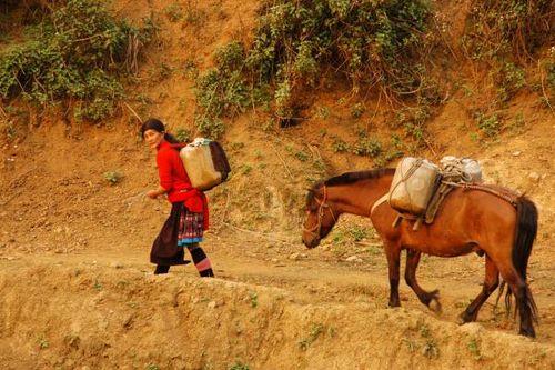 Vó ngựa kỳ bí trong văn hóa rẻo cao Tây Bắc