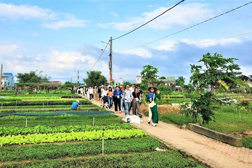 Mầm xanh trở lại nơi rốn lũ