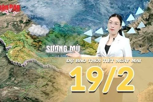 Dự báo thời tiết đêm nay và ngày mai 19/2/2026 (Mùng 3 Tết Bính Ngọ): Miền Bắc mưa Xuân se lạnh, Nam Bộ nắng nóng cục bộ