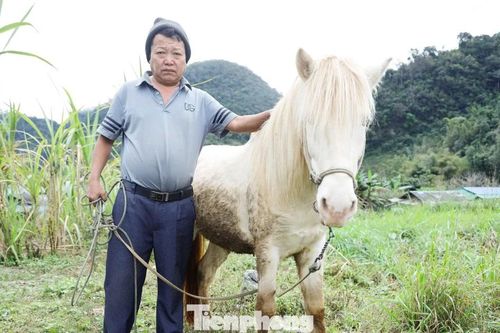 Lên 'cổng trời' Mường Lống tìm dấu vó ngựa xưa