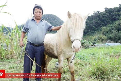Ngựa trên 'cổng trời' Mường Lống