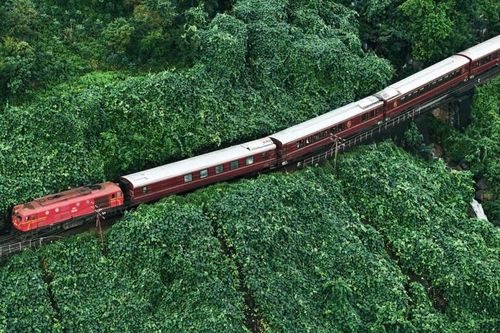 Chuyên gia ngoại thán phục đường sắt Việt Nam, khổ đơn hơn 100 năm vẫn chạy 40 chuyến/ngày