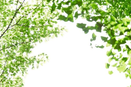 Mỗi ngày một Xuân