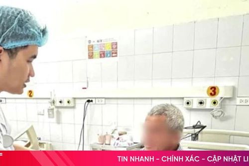 Cấp cứu thành công 2 ca ngộ độc cá nóc nguy kịch