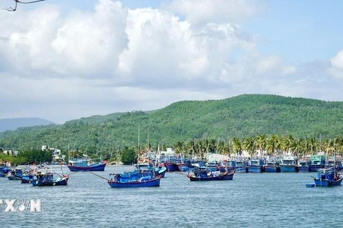 Gia Lai: Ngư dân vươn khơi xuyên Tết, chờ mong chuyến biển bội thu