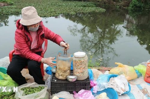 Độc đáo phiên chợ mỗi năm chỉ họp một lần ở Hải Phòng