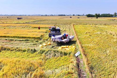 Gieo mầm đoàn kết, gặt hái đồng thuận