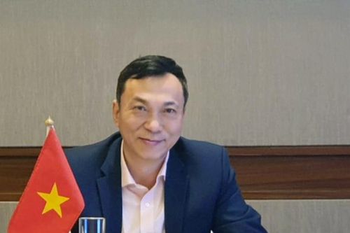 VFF kiên định lộ trình World Cup: Xây nền móng vững chắc từ những kỳ tích châu lục