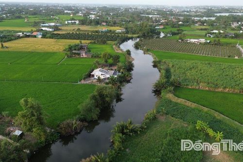 Đồng Tháp: Xâm nhập mặn tiếp tục duy trì ở mức cao