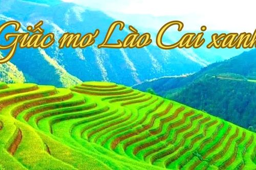 Giấc mơ Lào Cai xanh