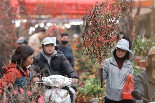 Từ mùng 2 Tết, Bắc Bộ, Bắc Trung Bộ trời rét, vùng núi có nơi rét đậm
