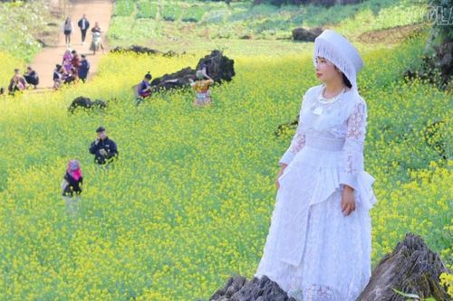 Du lịch Văn Chấn rực rỡ trong sắc xuân