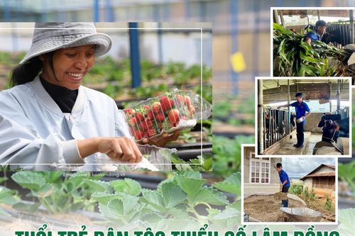 Tuổi trẻ dân tộc thiểu số Lâm Đồng đổi mới tư duy làm nông