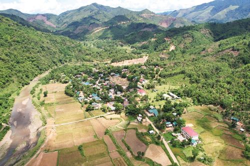 Cù Bai không xa
