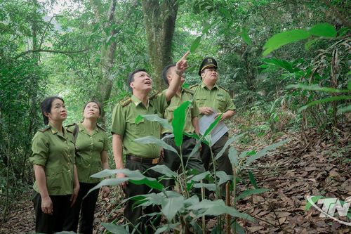Kiểm lâm Thái Nguyên giữ gìn 'lá phổi xanh'