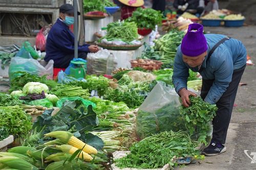 Nhiều chợ truyền thống hoạt động từ mùng 2 Tết