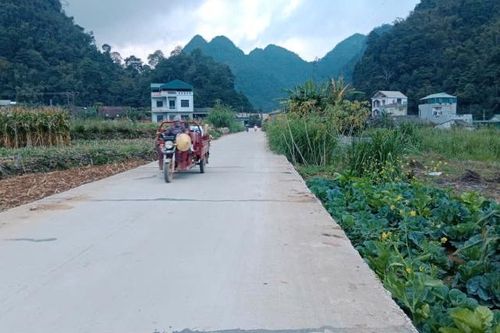 Xuân về trên những con đường nông thôn mới