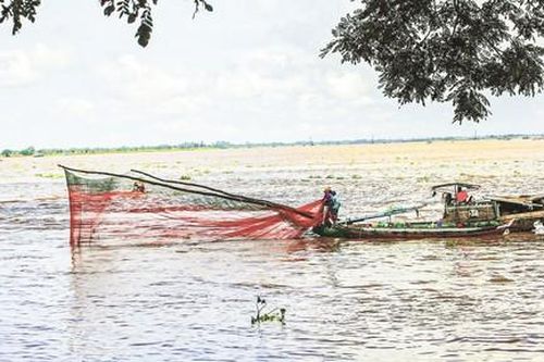 Mùa gió bấc về
