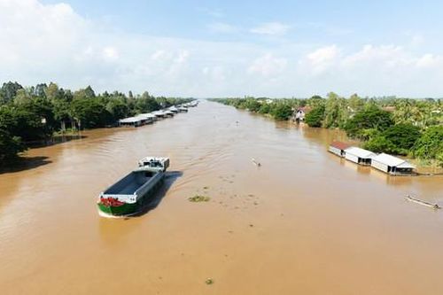 Nơi con sông Mê Kông chảy vào đất Việt