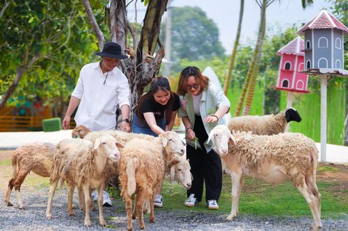 Trải nghiệm du lịch nông nghiệp giữa đô thị nhộn nhịp trong mùa Tết