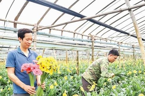 Sắc xuân trên những miền quê đổi mới
