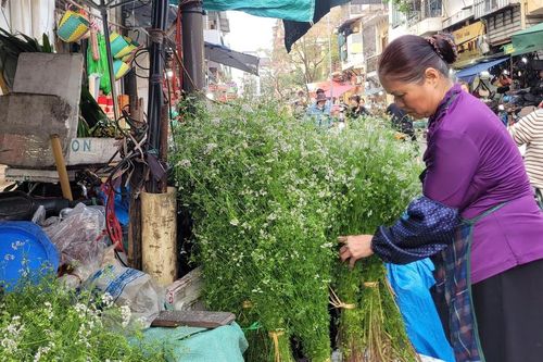 Giữ hương Tết xưa bằng nồi nước mùi già đầu năm, giá chỉ từ 20.000 đồng/bó