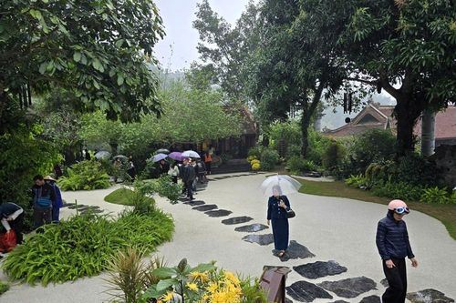 Khách thập phương đội mưa xuân vãn cảnh chùa Địa Tạng Phi Lai