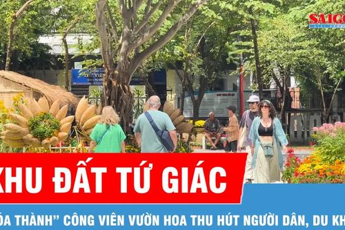 Khu đất tứ giác 'hóa thành' công viên vườn hoa, người dân, du khách hồ hởi check-in tết